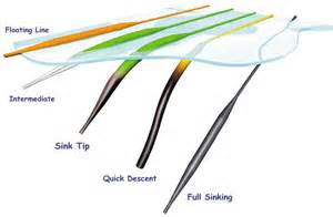 Floating and Sinking Fly Lines