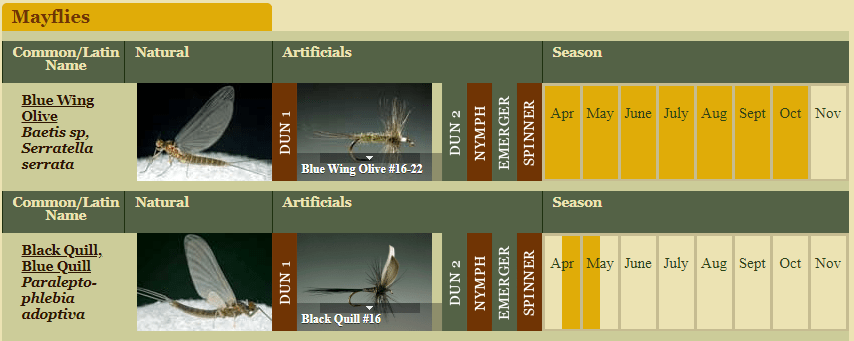 Sample of Esopus Creek Hatch Cart from Jerry Bartlett Collection